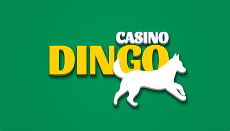 Dingo casino Panama