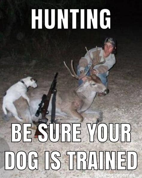 Funny Hunting brabet