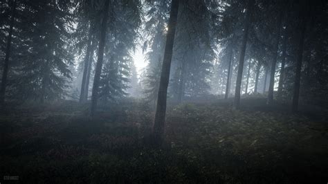 Jogue Misty Forest online