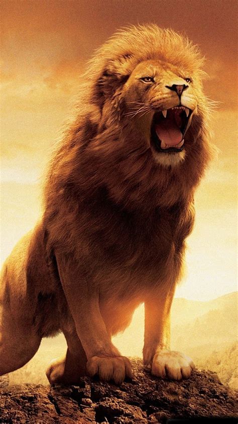 Lion S Roar Parimatch