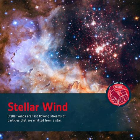 Stellar Wind NetBet
