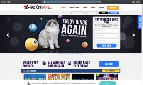 Whisker wins casino Venezuela